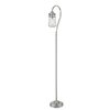 Z-Lite Celeste 1 Light Floor Lamp, Brushed Nickel And Clear Seedy FL120-BN